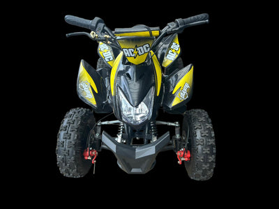 Electric Quad Bike