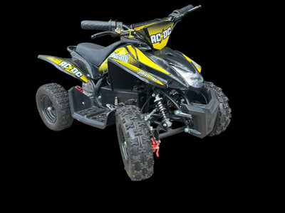 Electric Quad Bike